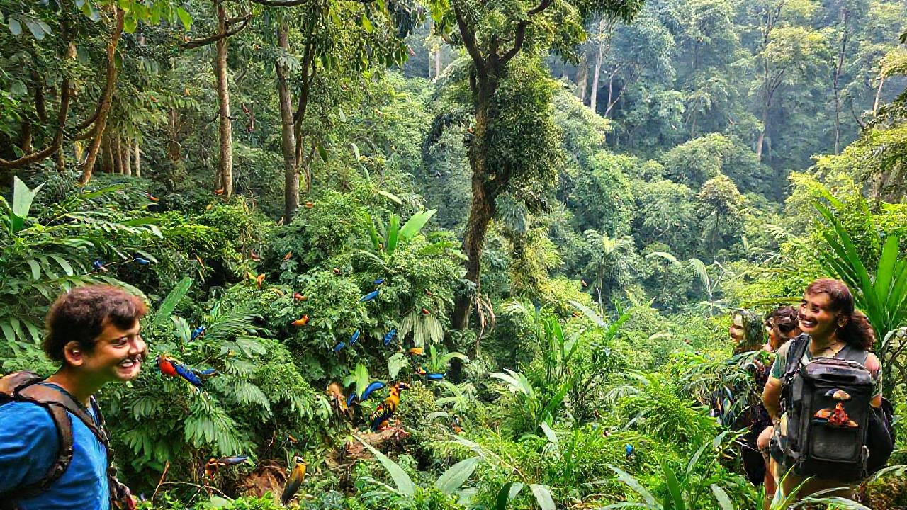 La selva ofrece un turismo sostenible y feliz