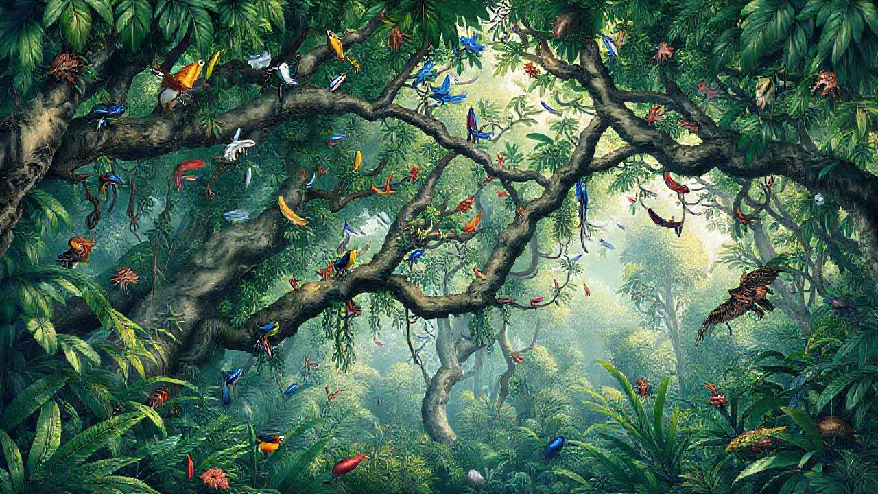 La selva tropical es visualmente impresionante