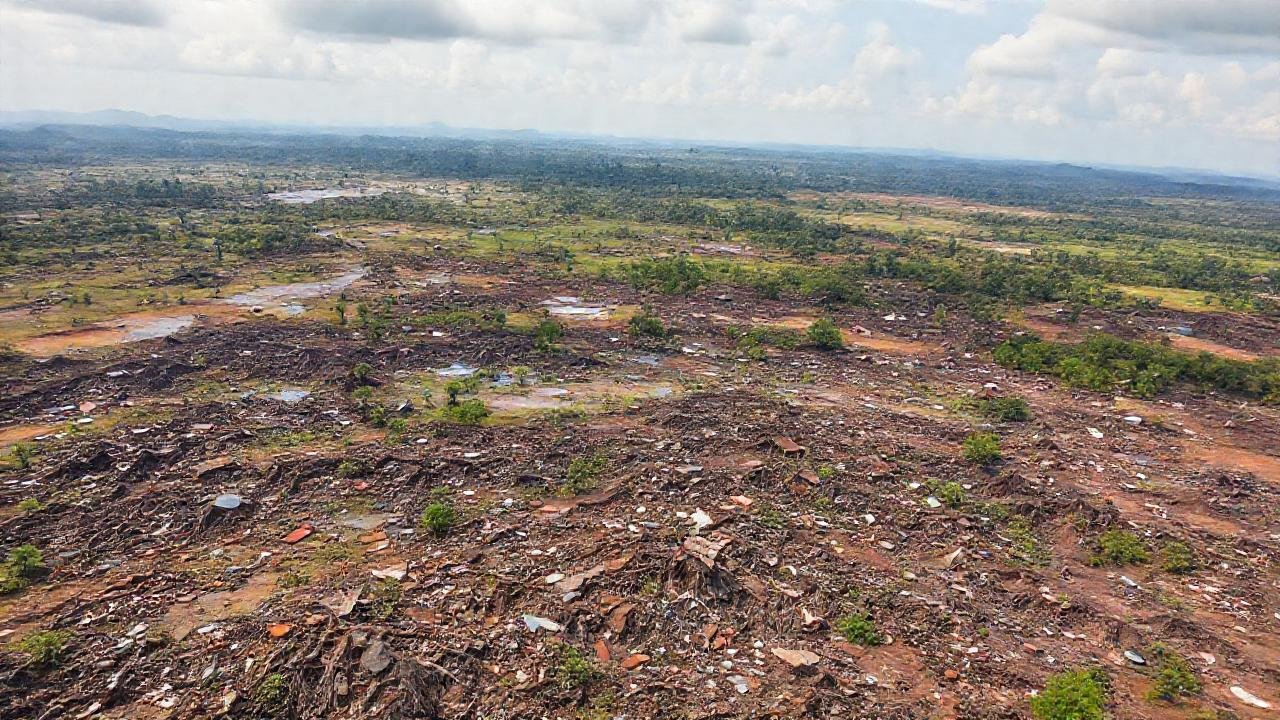 La naturaleza se restaura con esperanza