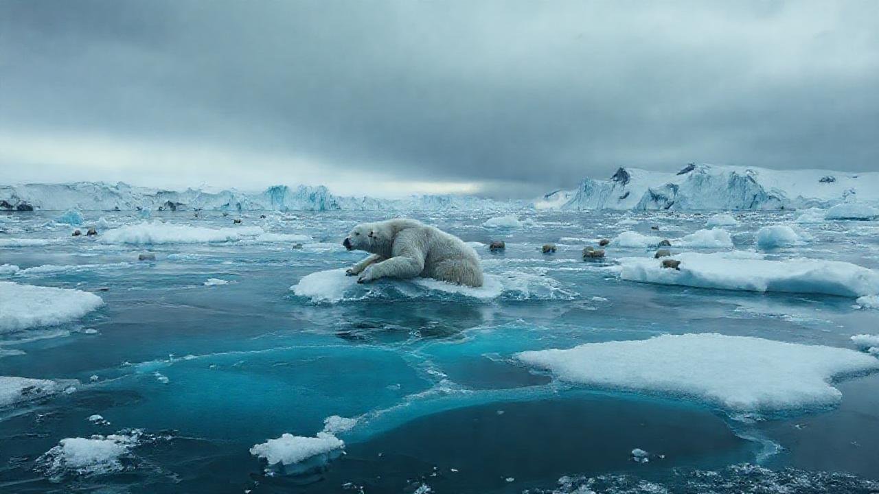 El derretimiento del hielo impacta la vida